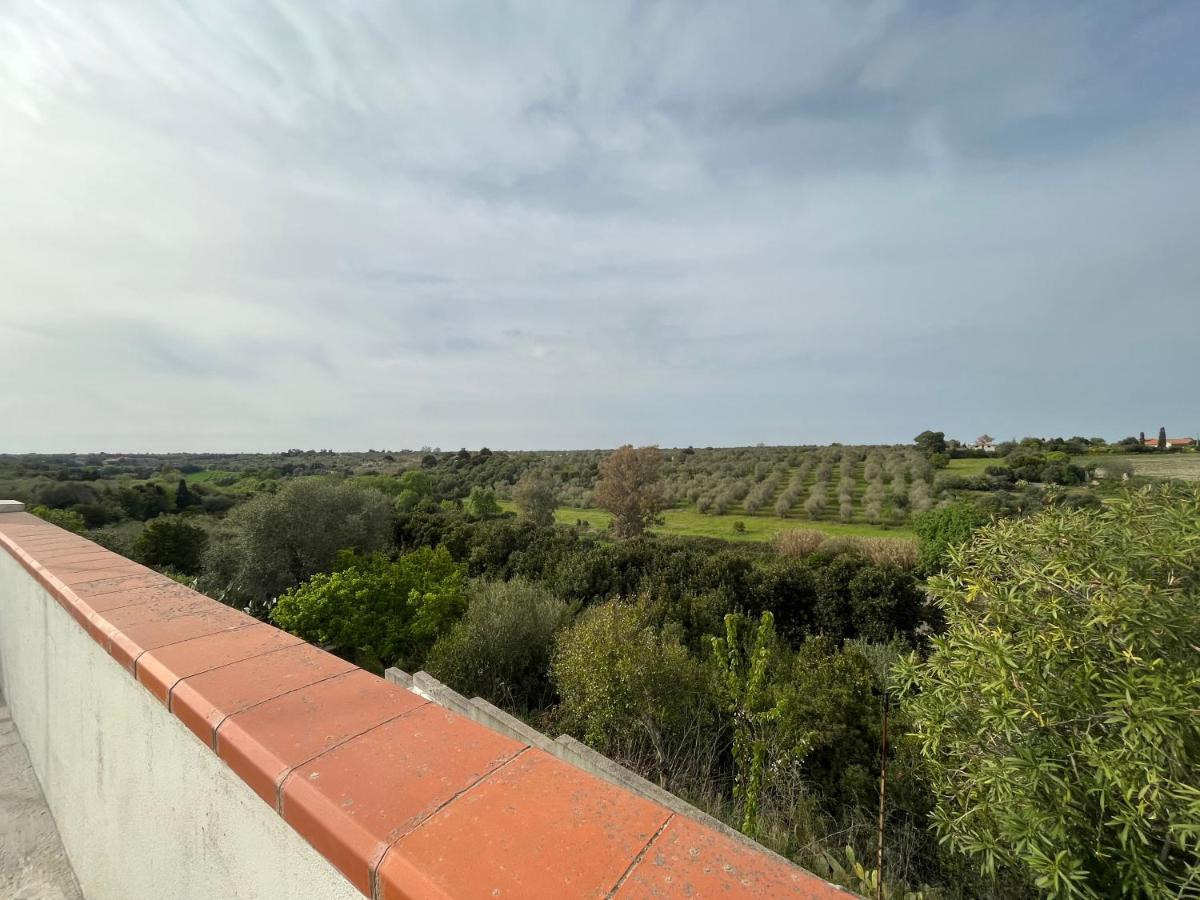 סאסארי Villa Speranza - Silenzio & Natura מראה חיצוני תמונה